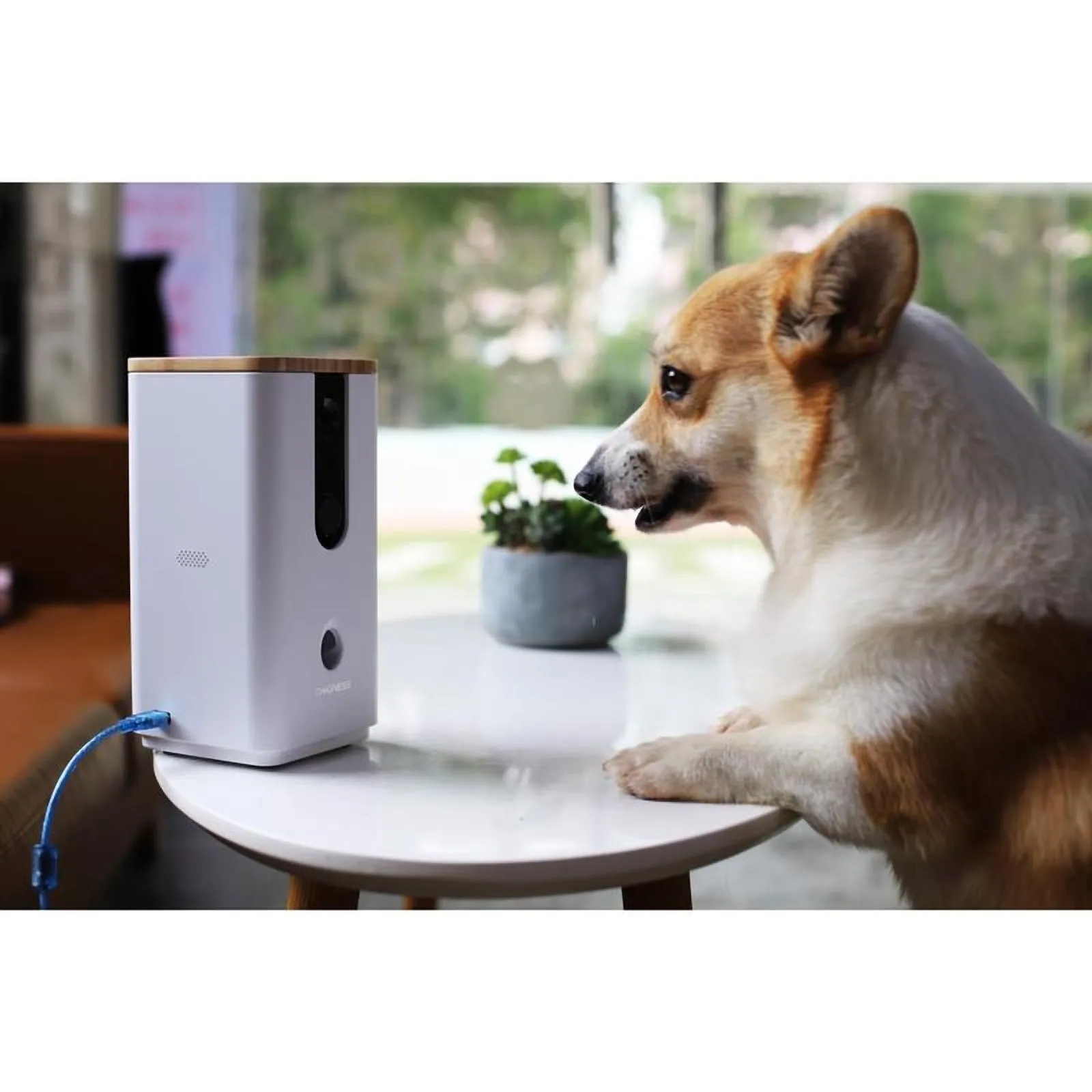 Dogness Smart Pet Camera and Treater