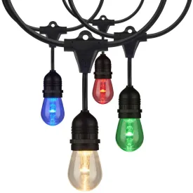 Outdoor LED String Light, 24 Feet, 12 S14 bulbs, RGB and Tunable White Color Changing with Infrared Remote