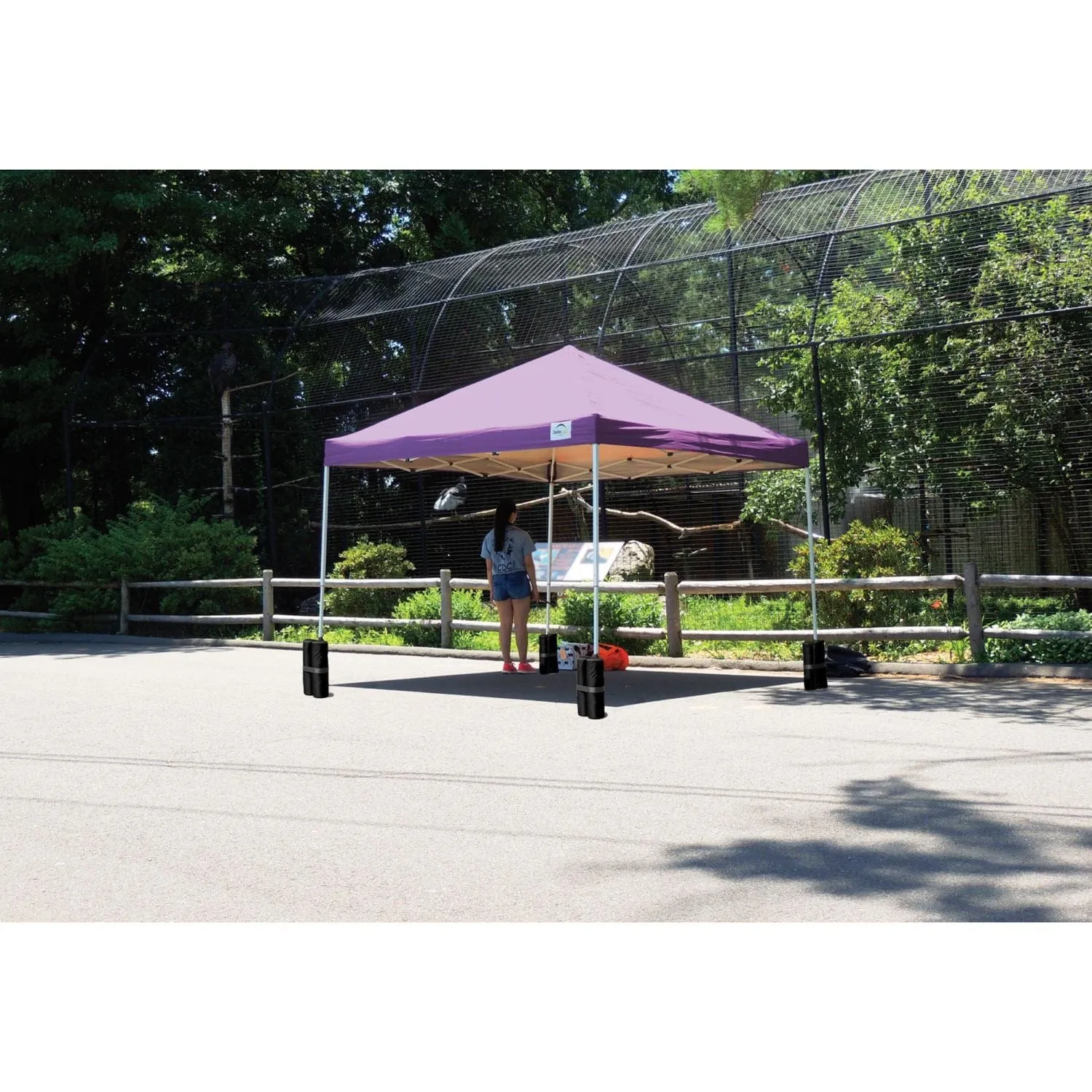 ShelterLogic | Pop-Up Canopy HD - Straight Leg 10 x 10 ft. Purple