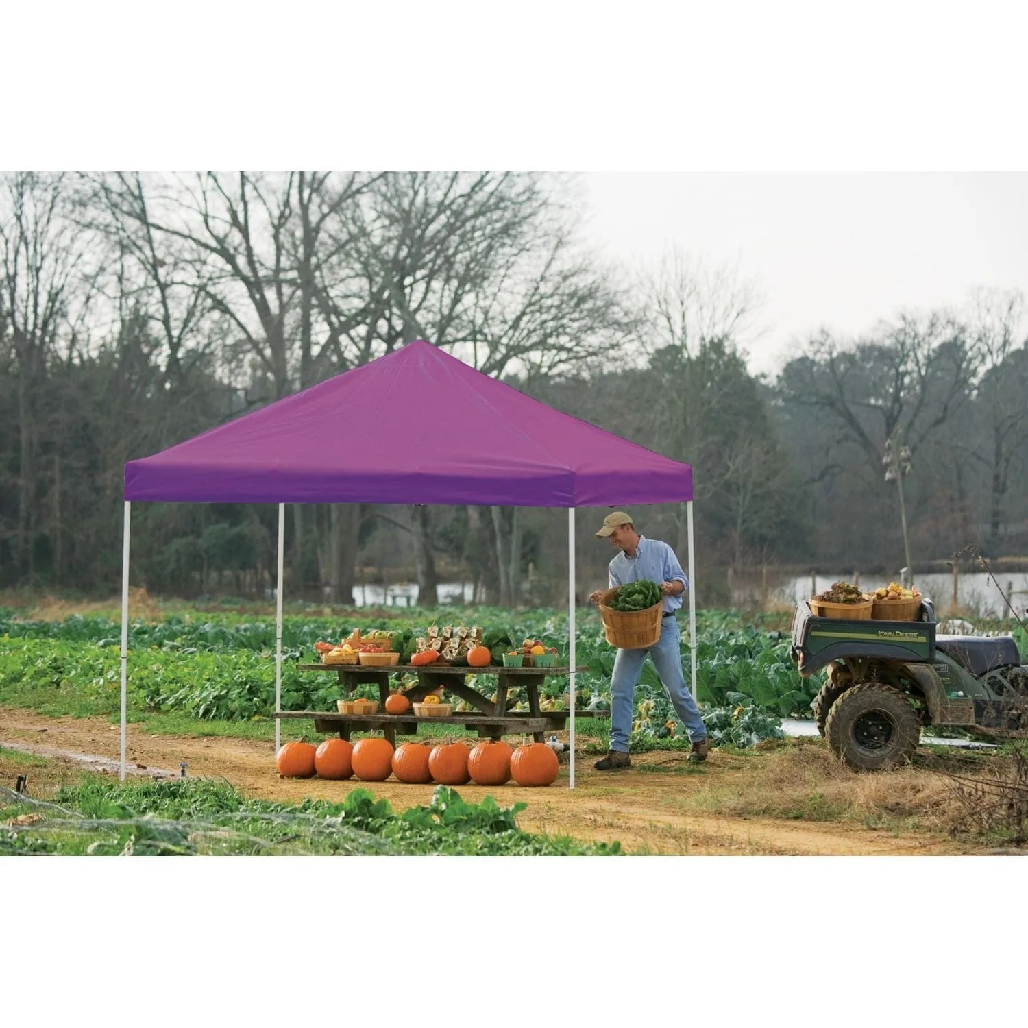 ShelterLogic | Pop-Up Canopy HD - Straight Leg 10 x 10 ft. Purple